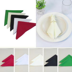 Kit 10 Pçs Guardanapo 10 Lugares Basic 35x35cm Liso Tecido Oxford